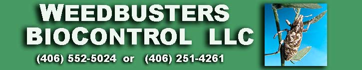 Weedbusters Biocontrol (406)552-5024